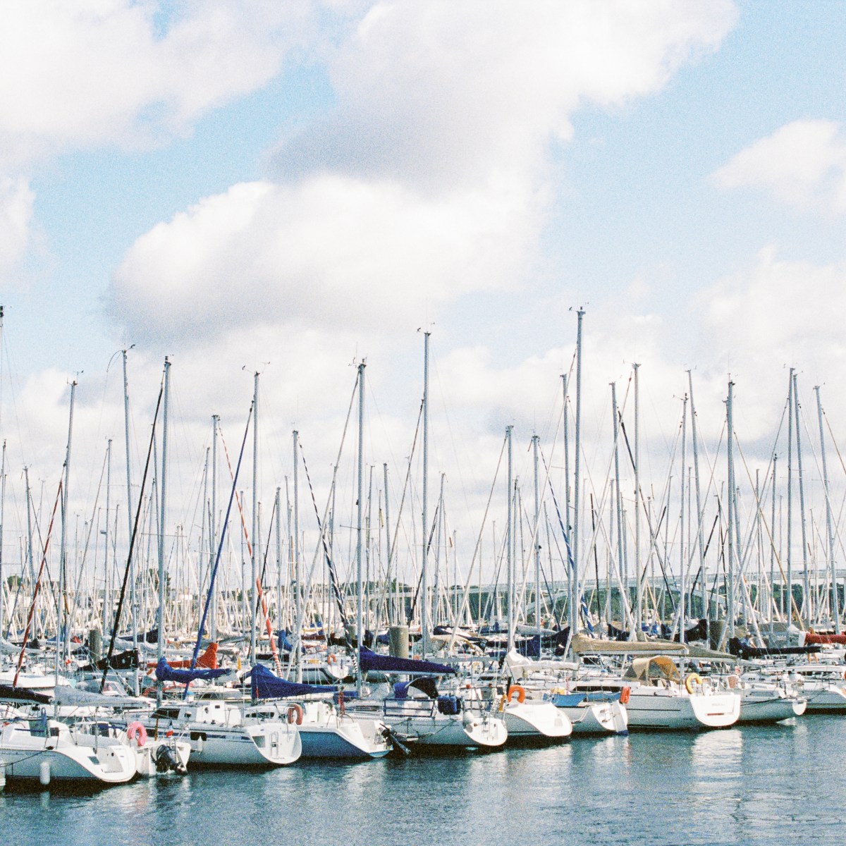 Sunday Sun on Kodak&nbsp;#Portra400